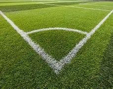 大谷翔平,年双喜临门,新成员加盟,永利高70net官网,永利高70net官网在线娱乐平台