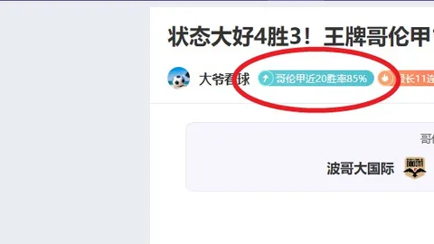 NBA精彩对决：13战全胜，深度备战，品质至上，全力冲刺！加油！